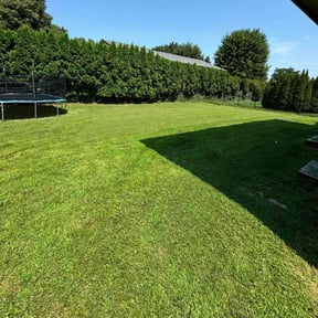 yard care by M D CUSTOM SERVICE SOLUTIONS reviewed on August 21, 2025