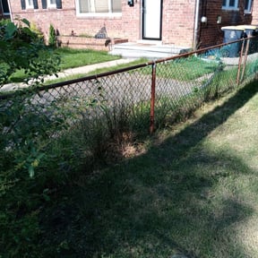 Bush Trimming by Mcdonald Home Services reviewed on August 19, 2025