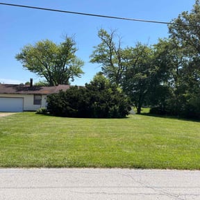 landscaping services by WeMow Indy reviewed on August 15, 2025