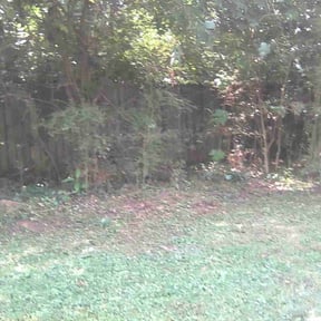 Bush Trimming by Burton Lawn Care reviewed on August 21, 2025