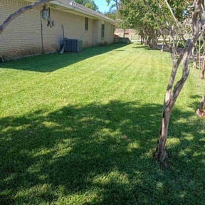 yard service by Catalan reviewed on November 24, 2025