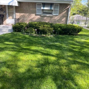 residential landscaping by Shokdaworld Lawncare reviewed on August 21, 2025