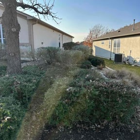 Bush Trimming by Ines lawnscaping reviewed on December 19, 2025