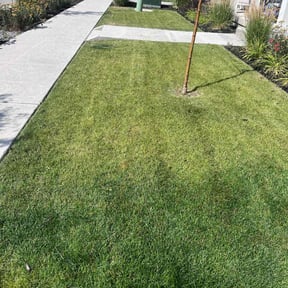 yard work by Rocky mountain yardscapes reviewed on August 20, 2025