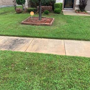 Bush Trimming by The1GreenThumb reviewed on August 15, 2025
