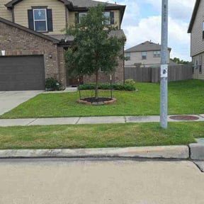 turf care by Longview lawns and Land scaping LLC reviewed on August 17, 2025