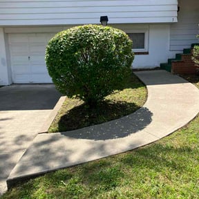Bush Trimming by Chesapeake bay support reviewed on August 19, 2026