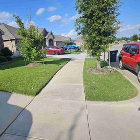 lawn maintenance by Rocky's Lawn Care reviewed on August 18, 2025