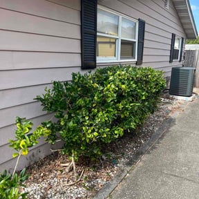 Bush Trimming by Snell mowing reviewed on August 19, 2025
