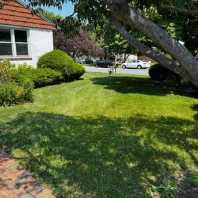 lawn maintenance by barnes.n.co.ext reviewed on August 18, 2025