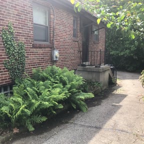 Flower Bed Weeding by G&M Landscaping Services reviewed on August 20, 2025