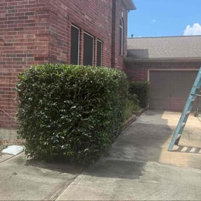 Bush Trimming by Lawn Patrol reviewed on November 22, 2025