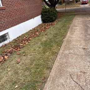 Leaf Removal by Jay R reviewed on November 22, 2025