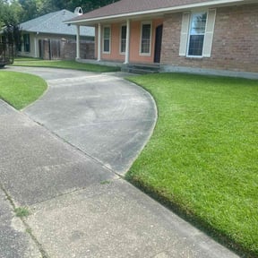 residential landscaping by Scipio landscaping and maintenance reviewed on April 2, 2024