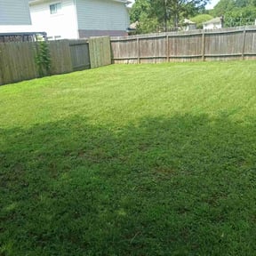 yard maintenance by Community Lawn and Services LLC reviewed on August 16, 2025