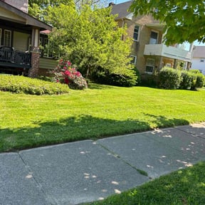 lawn maintenance by A&Js Landscaping and Design LLC reviewed on August 29, 2024