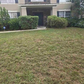 Bush Trimming by Ins&amp;Outs Lawn and Home LLC reviewed on April 15, 2022