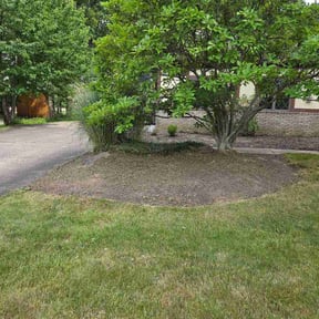 Flower Bed Weeding by Connecticut central Landscaping reviewed on July 11, 2026