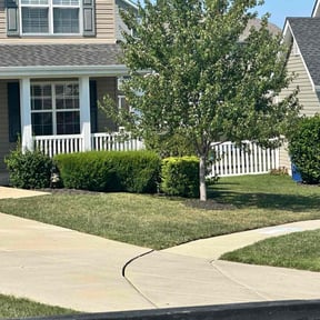 gardening service by Brown Cleaning Service LLC reviewed on August 18, 2025