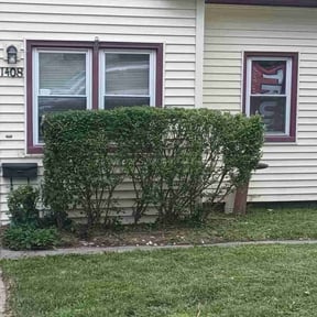 Bush Trimming by A&M Lawn Care reviewed on August 20, 2025