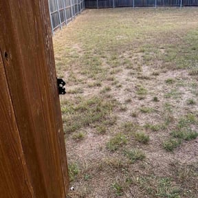 Leaf Removal by The Best Grass reviewed on September 20, 2025