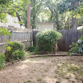 Bush Trimming by Brewer Lawn Service reviewed on August 21, 2025