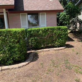 Bush Trimming by Otto Property Preservation reviewed on August 13, 2025