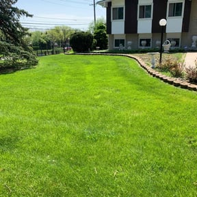 gardening service by Matt’s lawn care reviewed on August 18, 2025