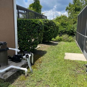 Bush Trimming by TN Lawn Services LLC. reviewed on August 18, 2025