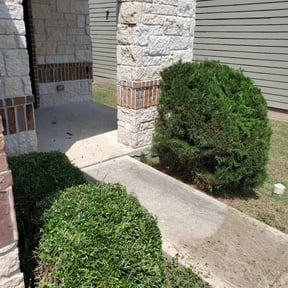Bush Trimming by N.A.l Landscaping Services reviewed on August 16, 2025