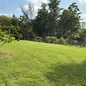landscaping services by Salamanca's Landscaping LLC reviewed on August 20, 2025