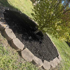 Bush Trimming by Green Cutterz LLC reviewed on March 30, 2026