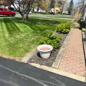 yard work by Ken's Lawncare reviewed on August 21, 2025