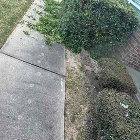 Bush Trimming by Linares Lawn Care reviewed on April 3, 2026