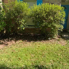 Bush Trimming by Fordson Lawn Care reviewed on August 17, 2025