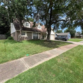 landscaping services by Lazy Palms Service's reviewed on August 17, 2025