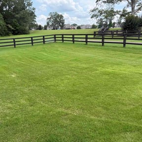 turf maintenance by Lawn Time No See LLC reviewed on August 16, 2025