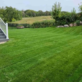 turf care by Eminence Services LLC reviewed on October 8, 2024