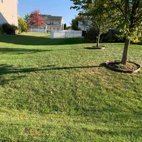 turf maintenance by Haymes Grass Grooming reviewed on May 9, 2025