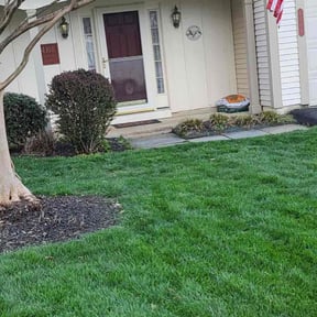 Leaf Removal by Weapons of Moss Destruction reviewed on April 7, 2024