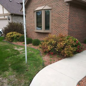 Bush Trimming by Budget lawn mowing reviewed on August 21, 2025