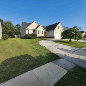 Bush Trimming by RTH Lawn Service & Landscaping LLC reviewed on August 16, 2025