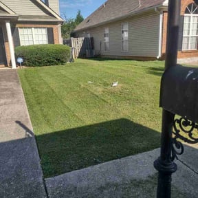 Bush Trimming by Myles And Son’s reviewed on August 18, 2025