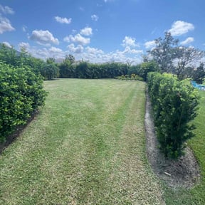 grass cutting by Together Family Landscapes LLC reviewed on May 19, 2025