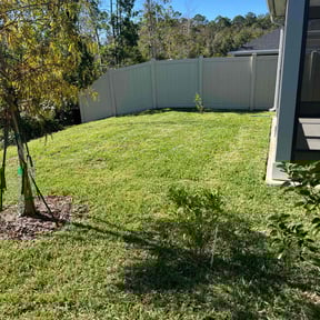 turf care by Johnson lawn services reviewed on May 12, 2024