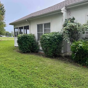 Bush Trimming by RAWLawns reviewed on December 17, 2025