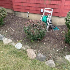 Bush Trimming by Florida LawnScapers LLC reviewed on August 17, 2025