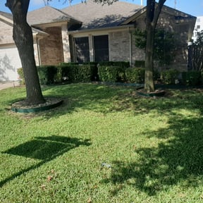 Bush Trimming by ESPINOSA JE LANDSCAPING LLC reviewed on August 18, 2025
