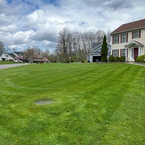 lawn maintenance by Parker's Property Services reviewed on August 24, 2024