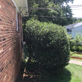 Bush Trimming by Underwood Outdoors reviewed on August 20, 2025